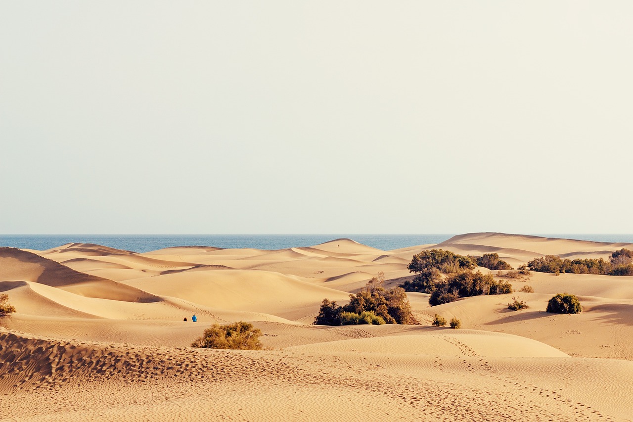 Buche jetzt Deine Reise inkl. Vollpension nach Gran Canaria*