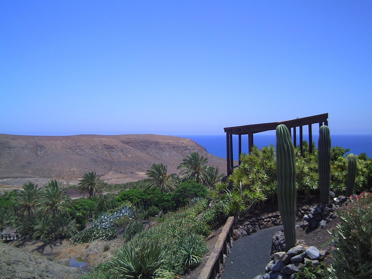 Buche jetzt Deine Reise inkl. Vollpension nach Fuerteventura*
