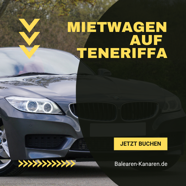 Sei mobil auf Teneriffa während Deiner Reise im August