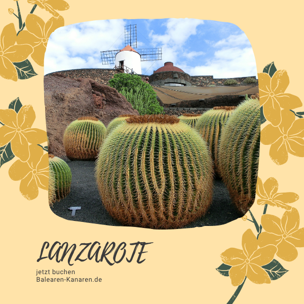 Gönn Dir einen sorgenfreien Urlaub auf September im Lanzarote ab DTM