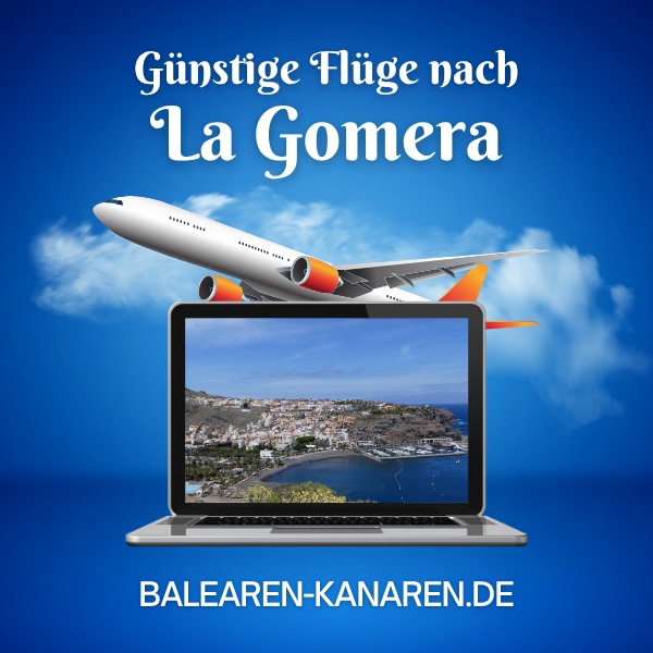 9_La_Gomera_020526