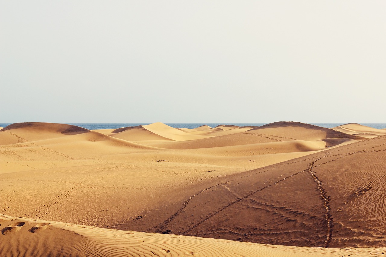 summerstock-dunes-1673766_1280