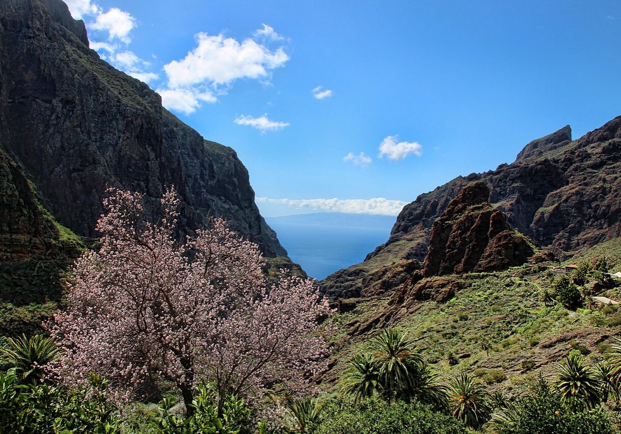 gregmontani-tenerife-3198649_1280